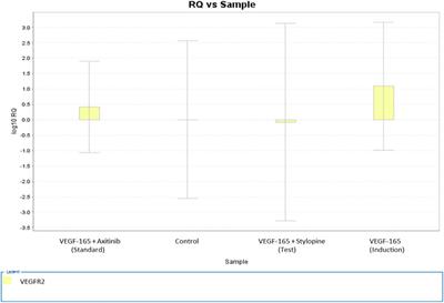 Stylopine: A potential natural metabolite to block vascular endothelial growth factor receptor 2 (VEGFR2) in osteosarcoma therapy